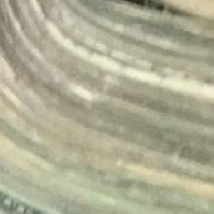 Meet your Posher, Lilmaine